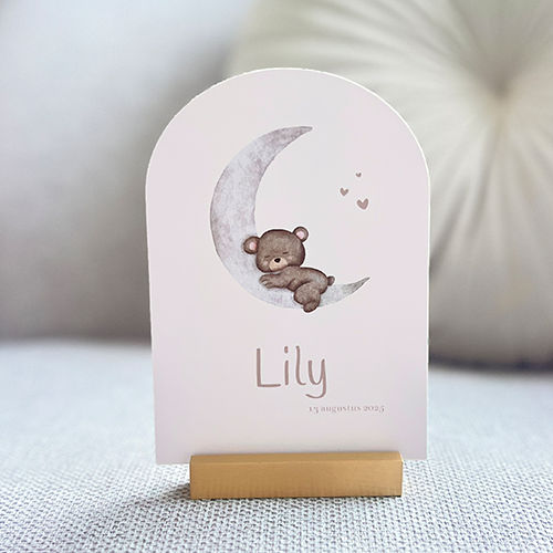Geboortekaartje Meisje Zusje Maan Teddybeertje Boogkaart