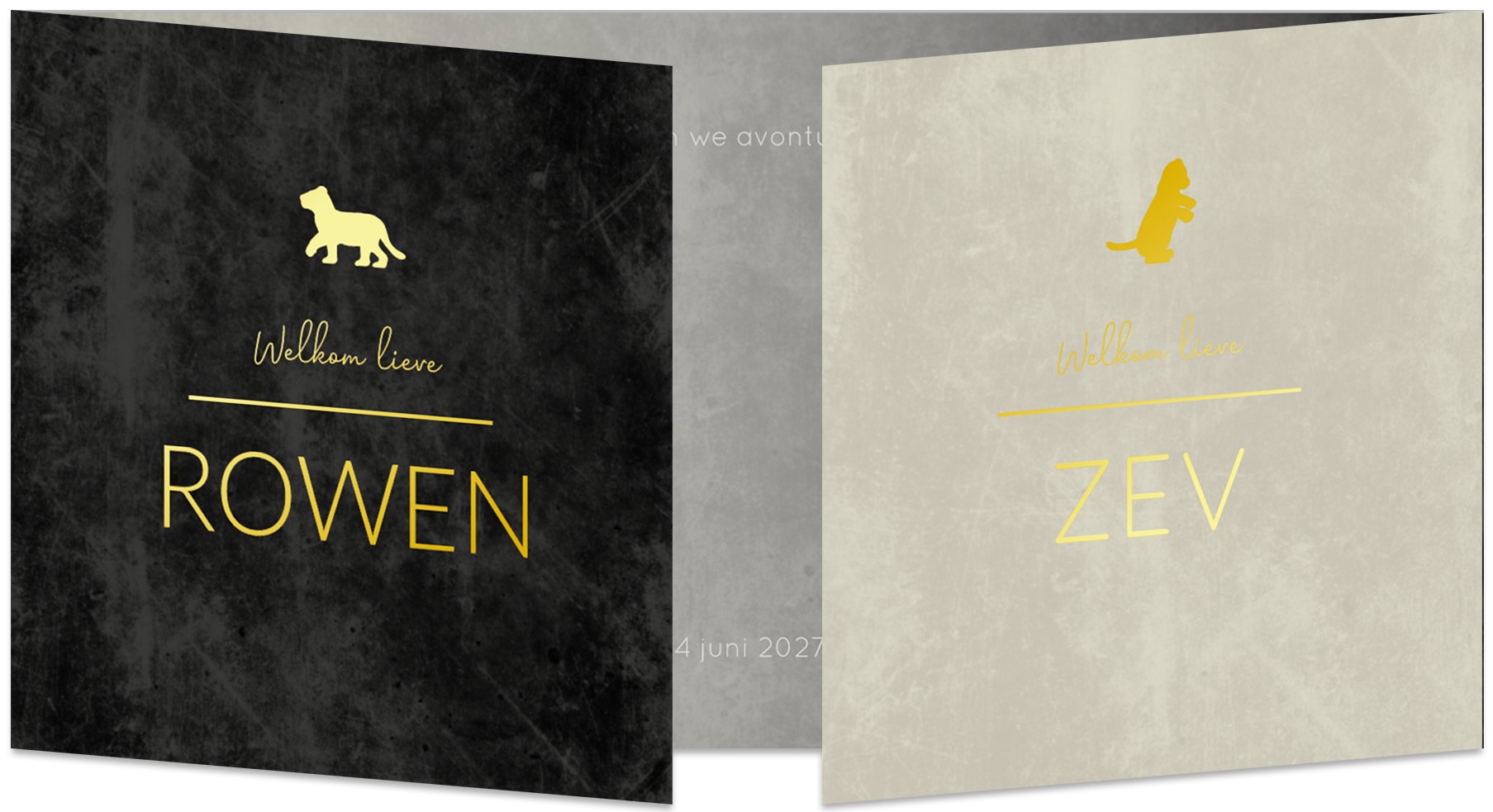 Geboortekaartje Tweeling Luikkaartje Panorama Leeuwtjes