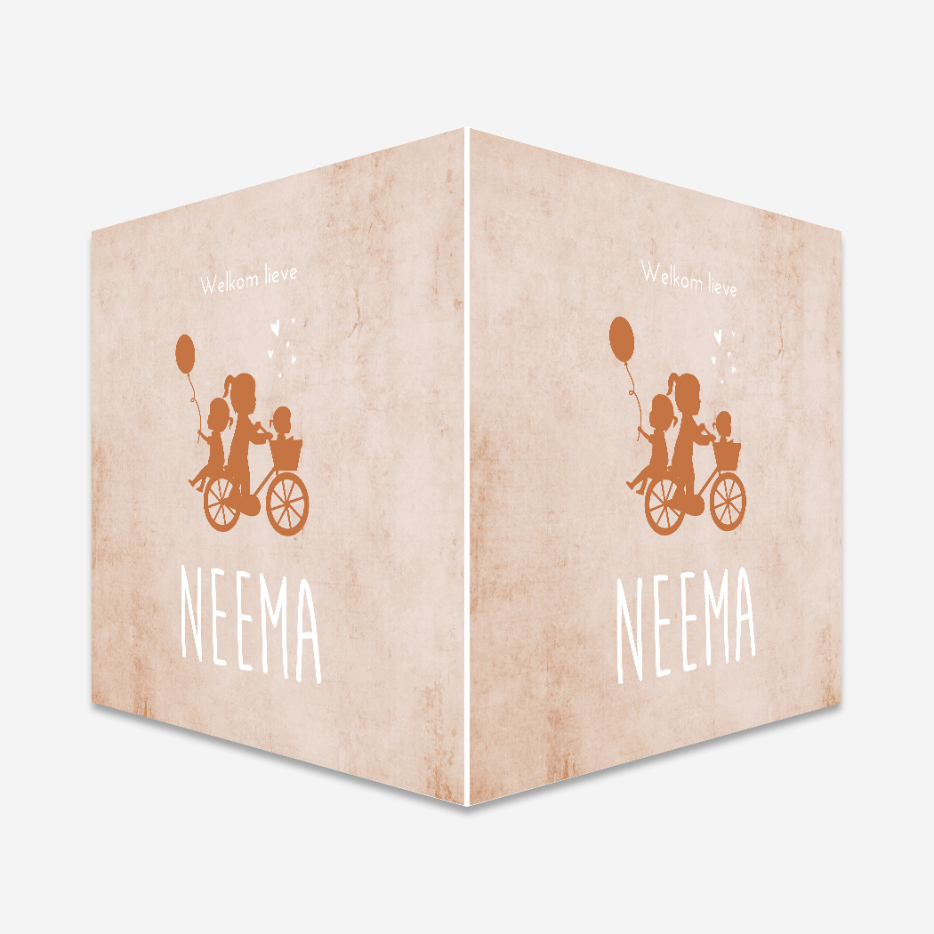 Raambord Fiets Silhouet Ballon Roze