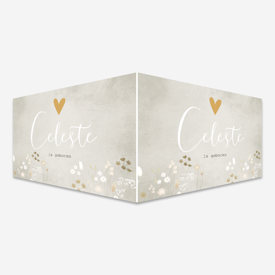 Raambord droogbloemen beige romantisch