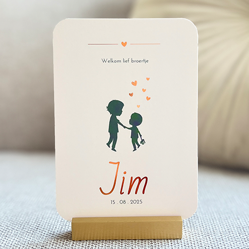 Babykaartje Broertjes Jongens Silhouetten