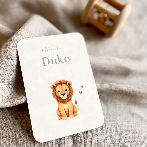 Geboortekaartje Jongen Leeuwtje Velvet