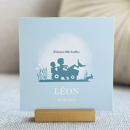 Geboortekaartje Broertjes Silhouet Traptrekker
