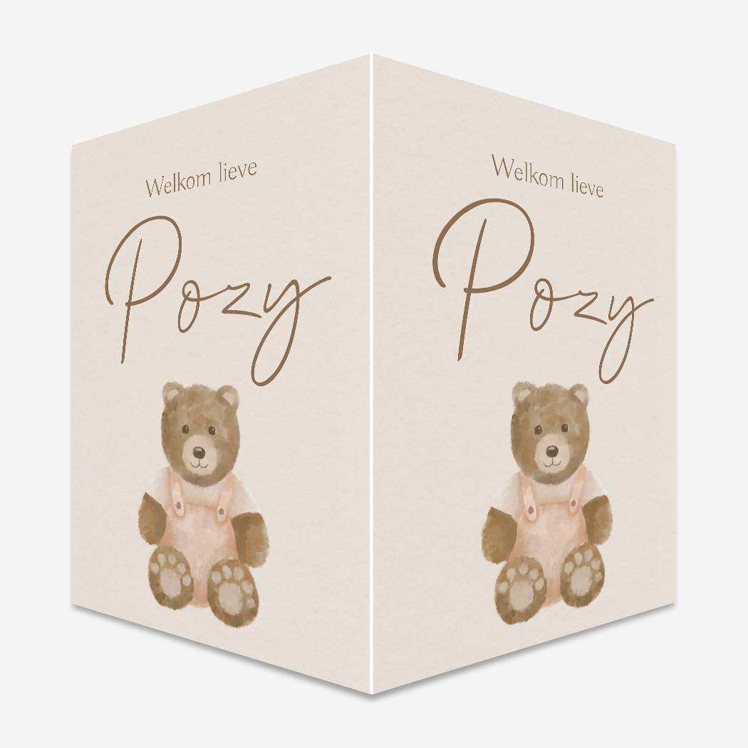 Raambord Teddybeer Geboortebord Waterverf Meisje