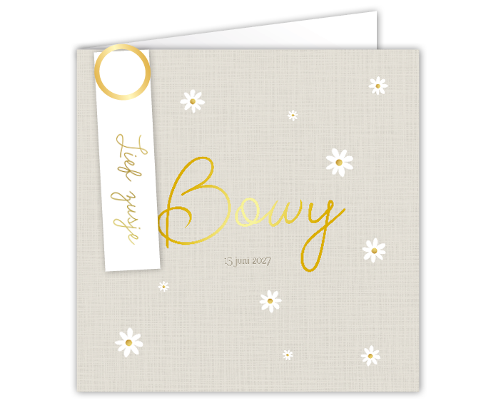 Geboortekaartje Meisje Madeliefjes