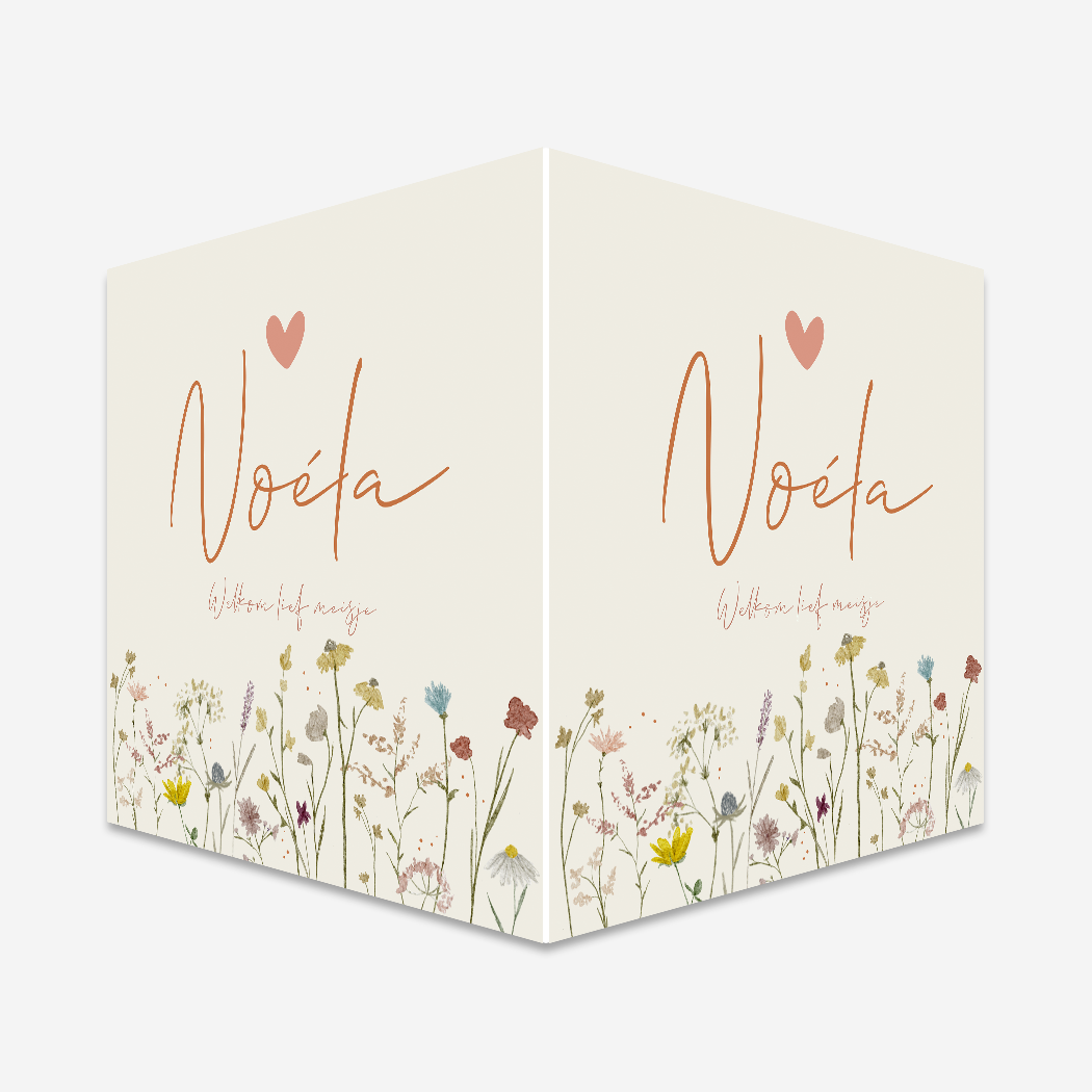 Gebortebord voor aan het raam