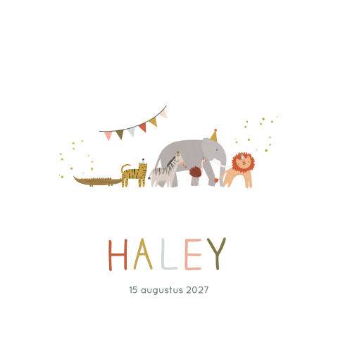 Geboortekaartje Meisje Feestje Dieren Illustratie