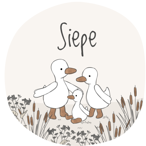 Geboortekaartje Organisch Jongen Schattig Eendjes