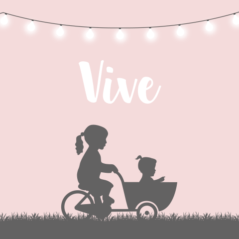 Geboortekaartje Meisje Bakfiets Zusje Silhouet