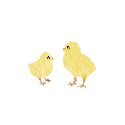 Sticker Kuikentjes