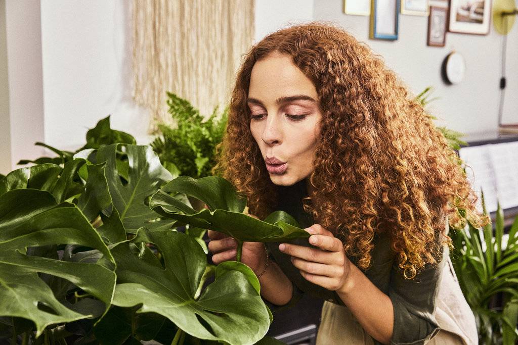 - 4dfd71ea-dbcd-4229-9bb4-dc27b1bfe826