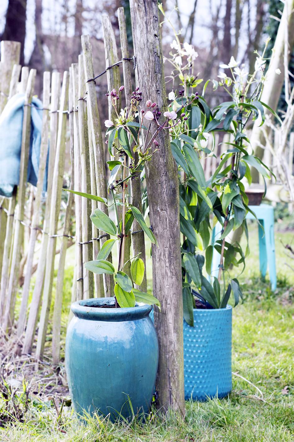  - 5490cefc-261a-4059-87dc-e295053b8619