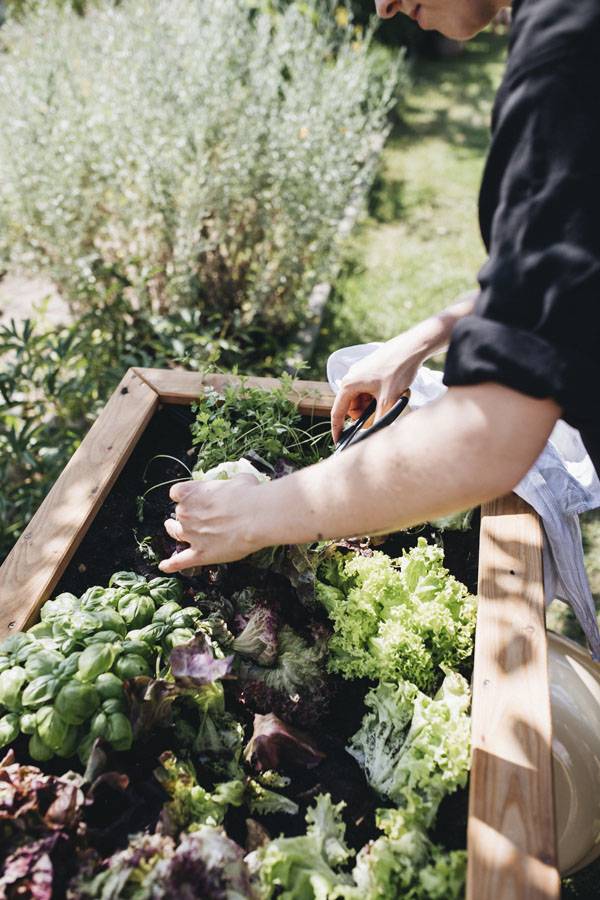 - 6e85c42c-2043-49c9-8707-8452554da89e