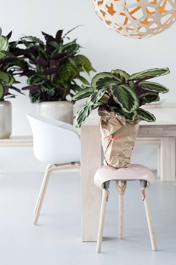  - 7012feff-a1ac-403e-8fe0-0724d1226c90