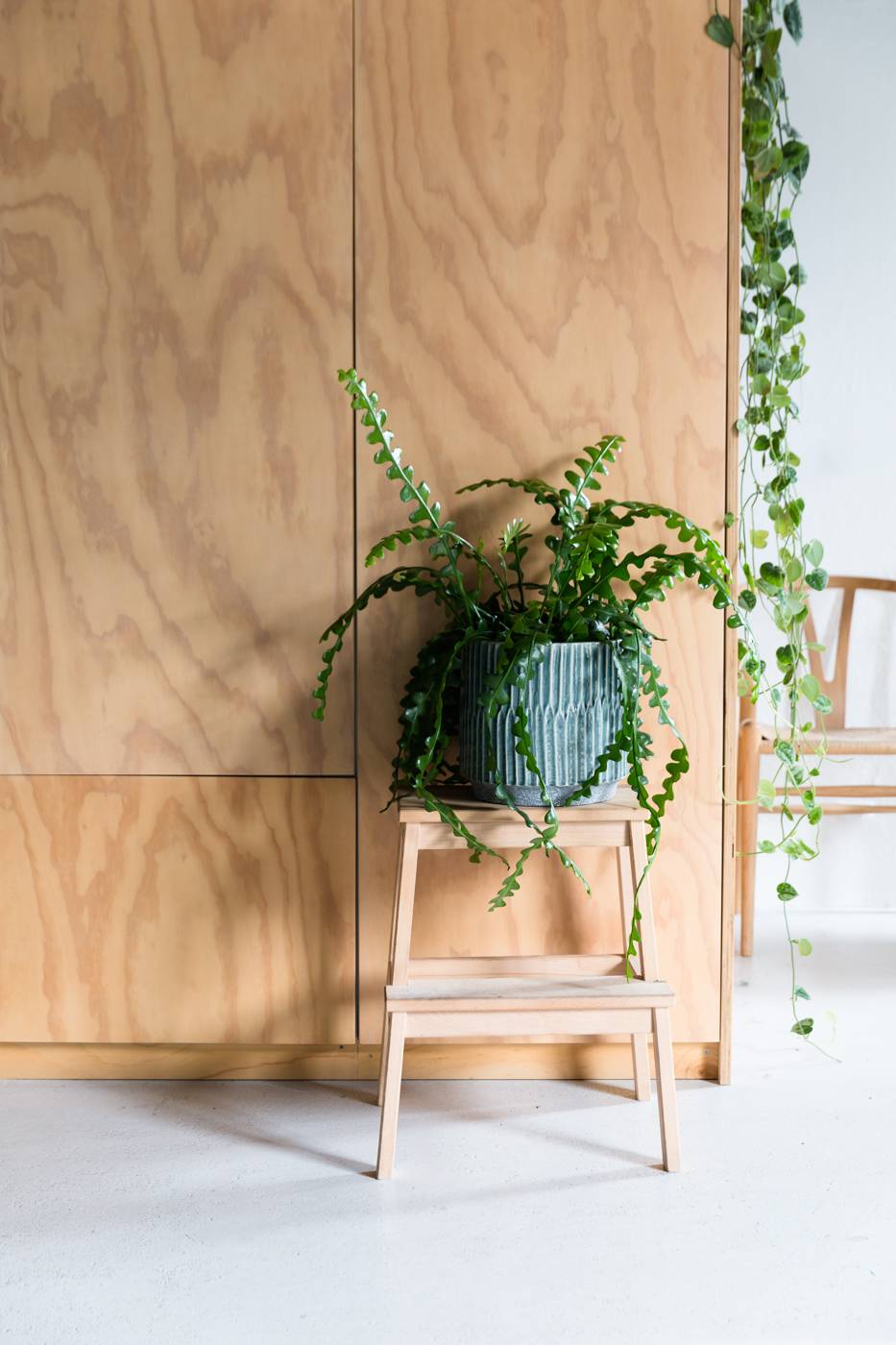  - 90af2e9e-73af-4fef-9ed8-a8b16b3dfe3f