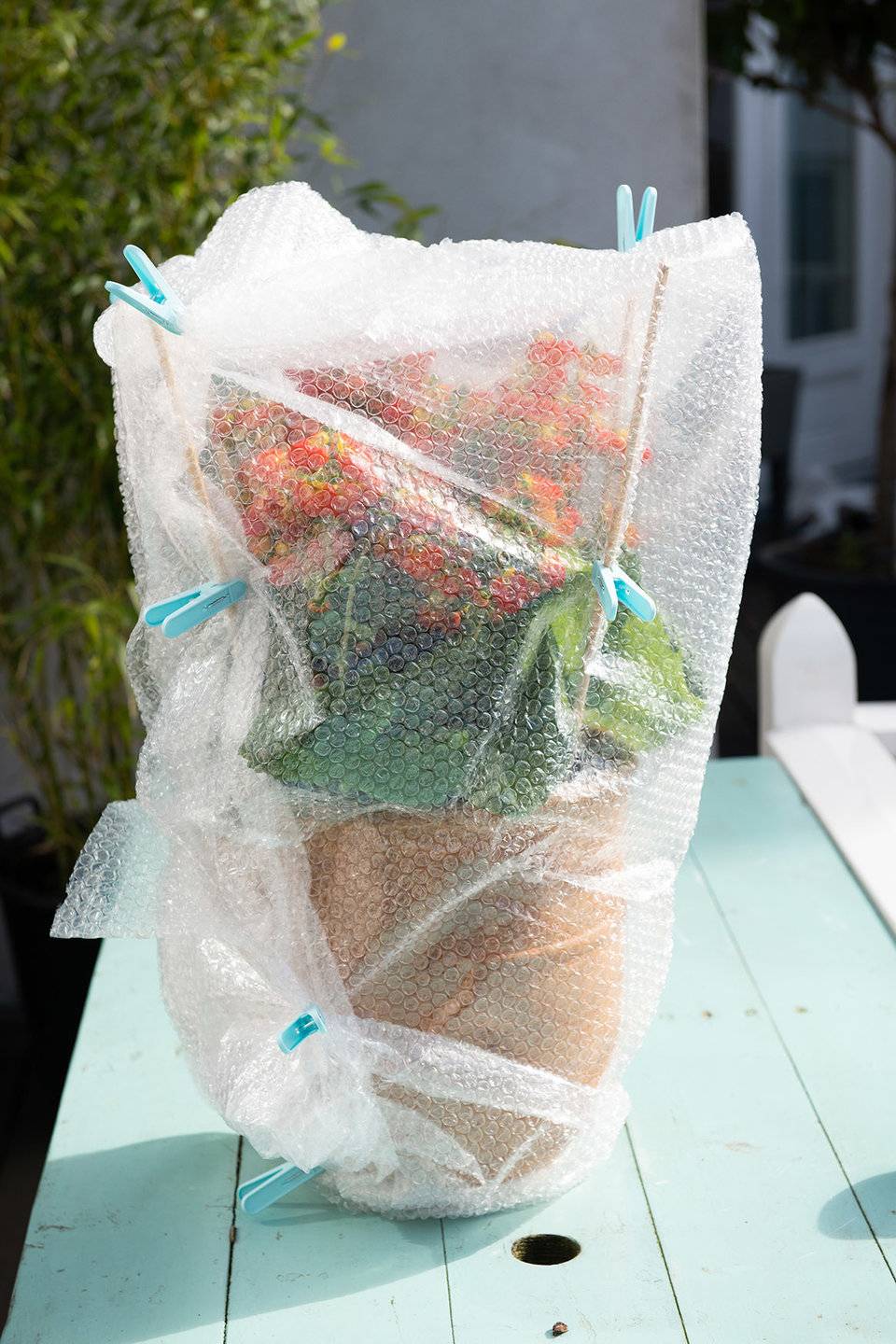 - adba0235-b1b6-4dbb-b96b-8bef68689dba