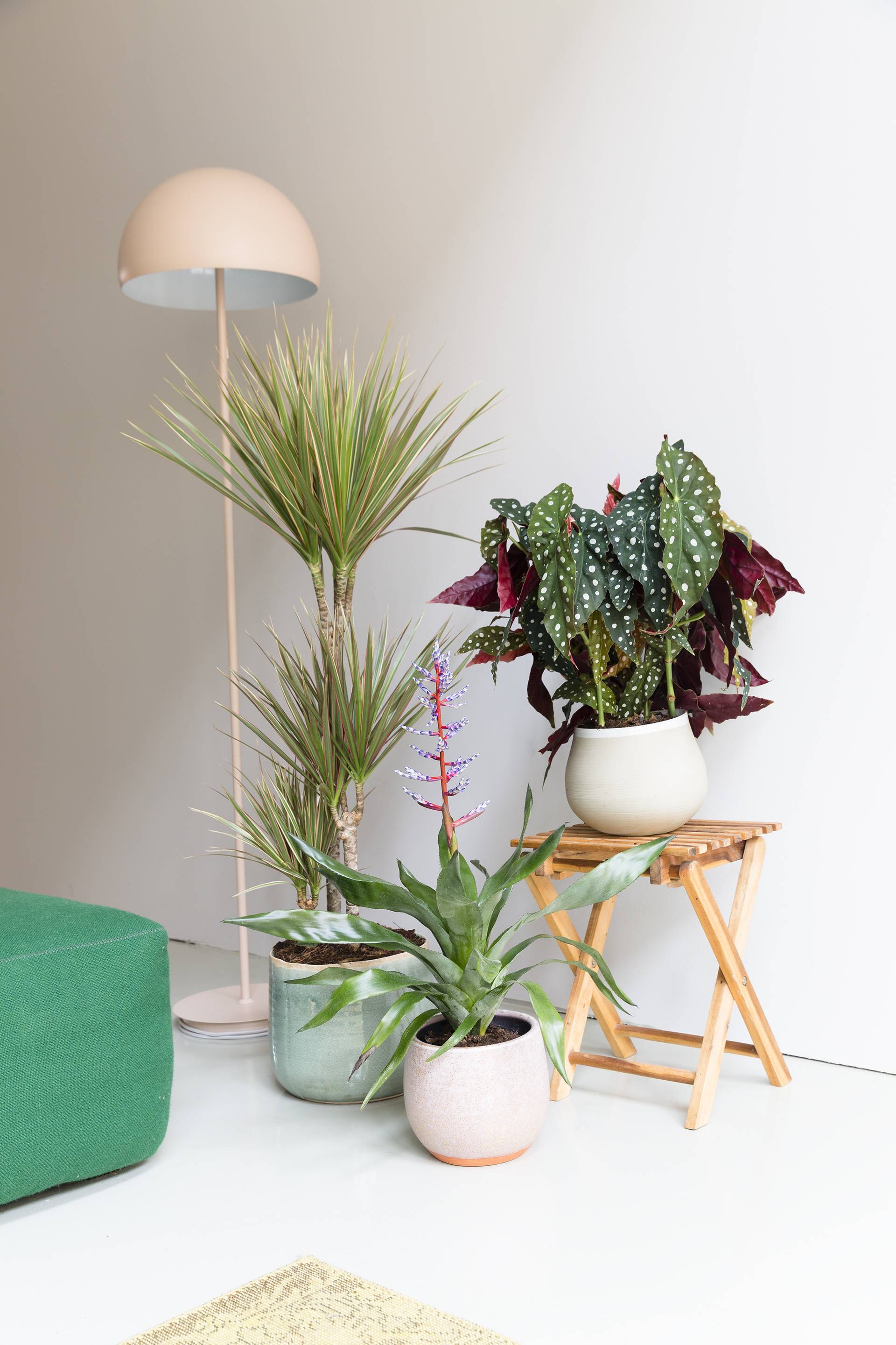 - b61c3305-889a-41f1-a60e-db011bd5aecb