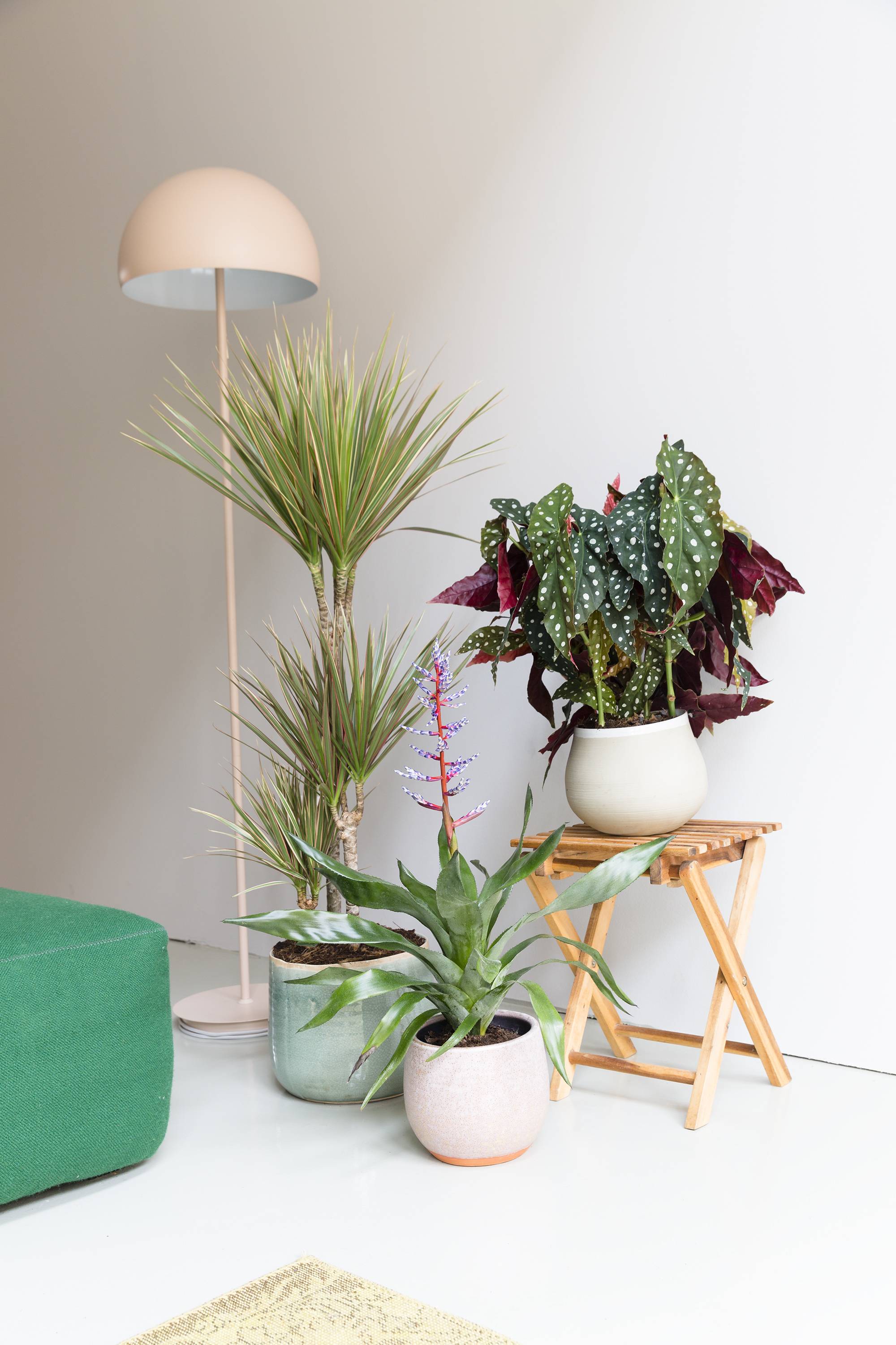 - b61c3305-889a-41f1-a60e-db011bd5aecb