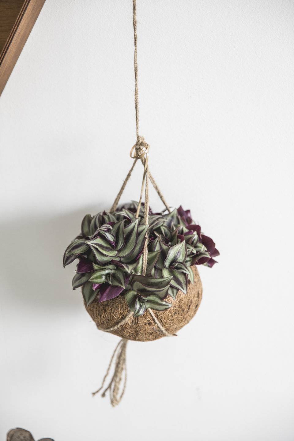  - d4952b4d-5e2b-46a9-9b33-a7bcd4426745