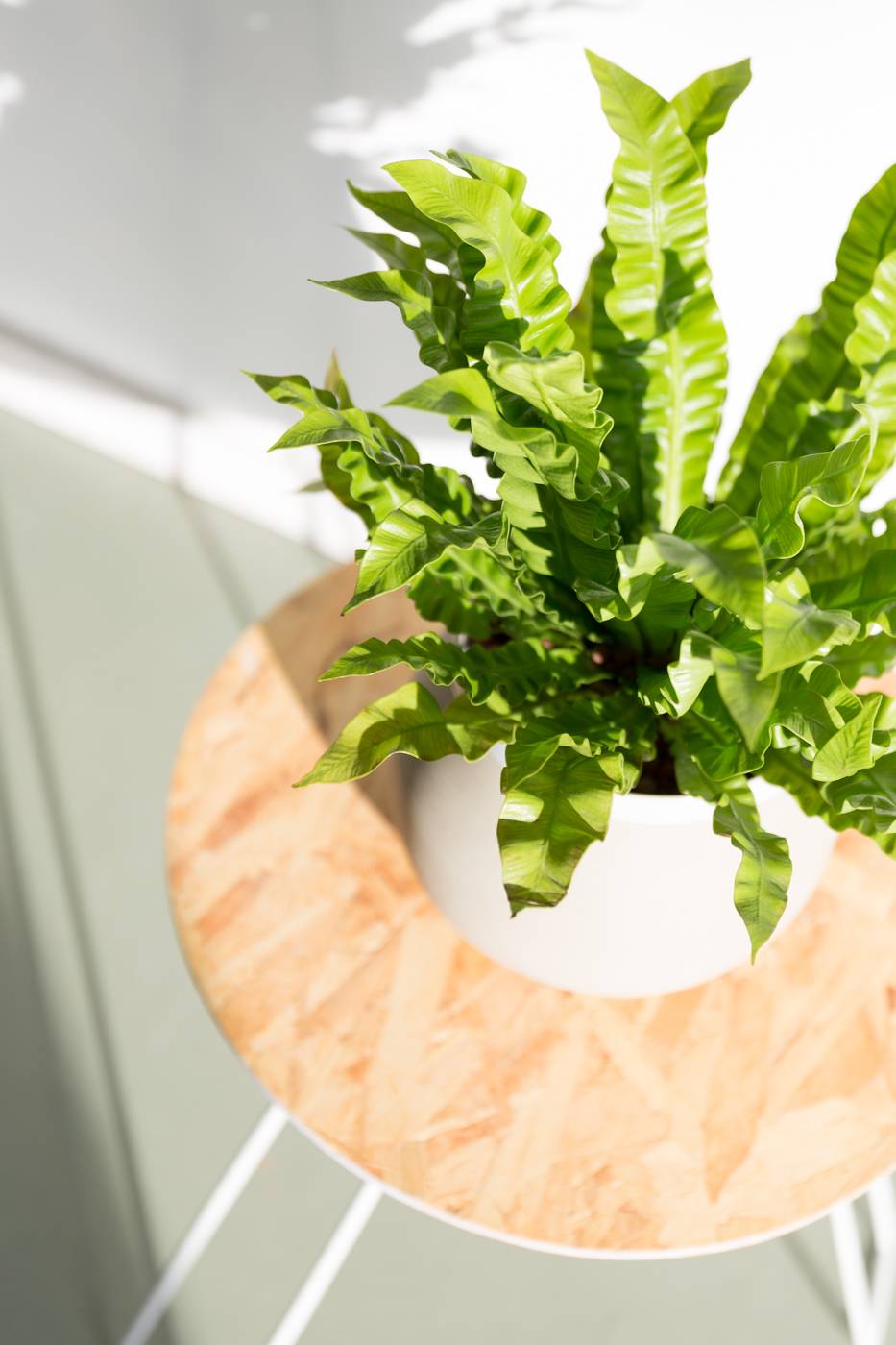 - efbb7349-da6f-4ad1-900a-2dfcbdab2d6a