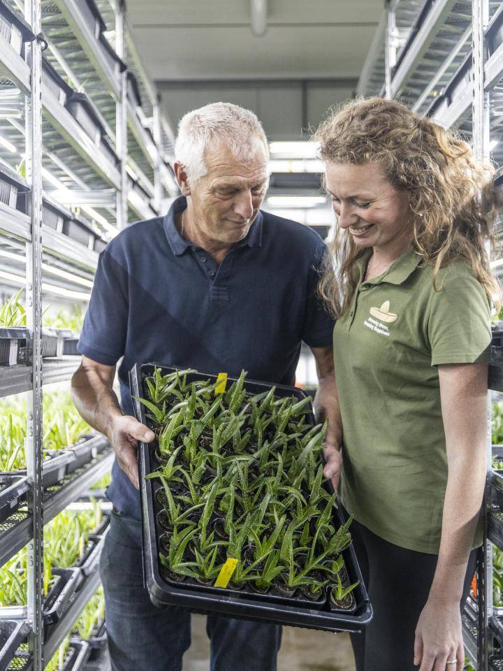 20240228-BBH-AmigoPlant-128-Web