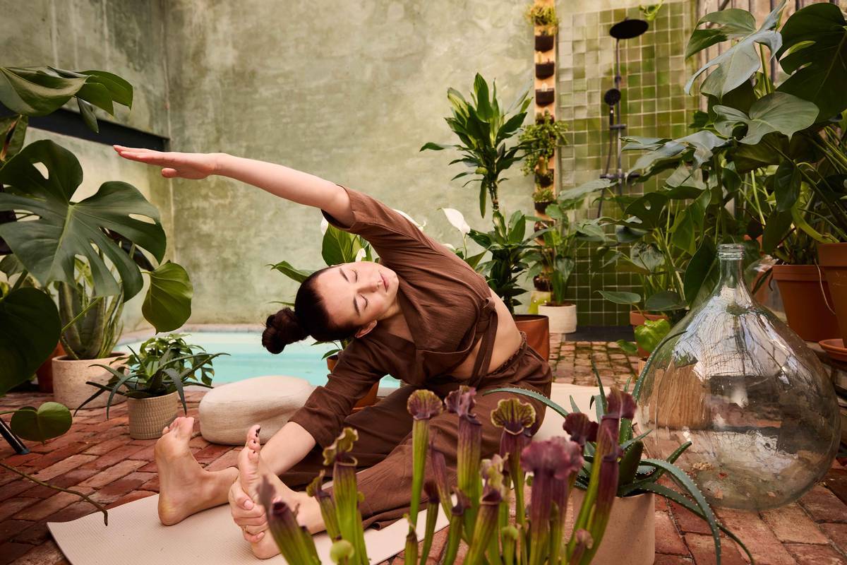 Pleine conscience avec les plantes