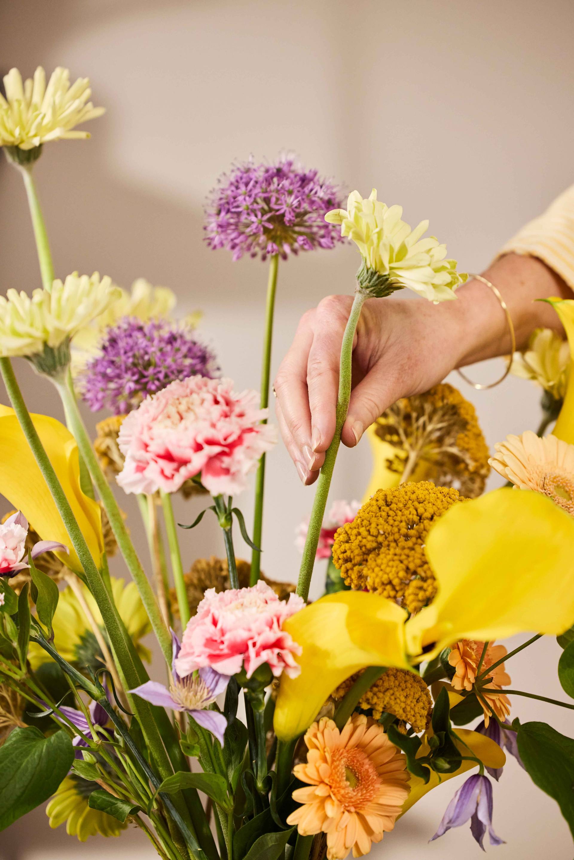 Hand die een gerbera vasthoudt