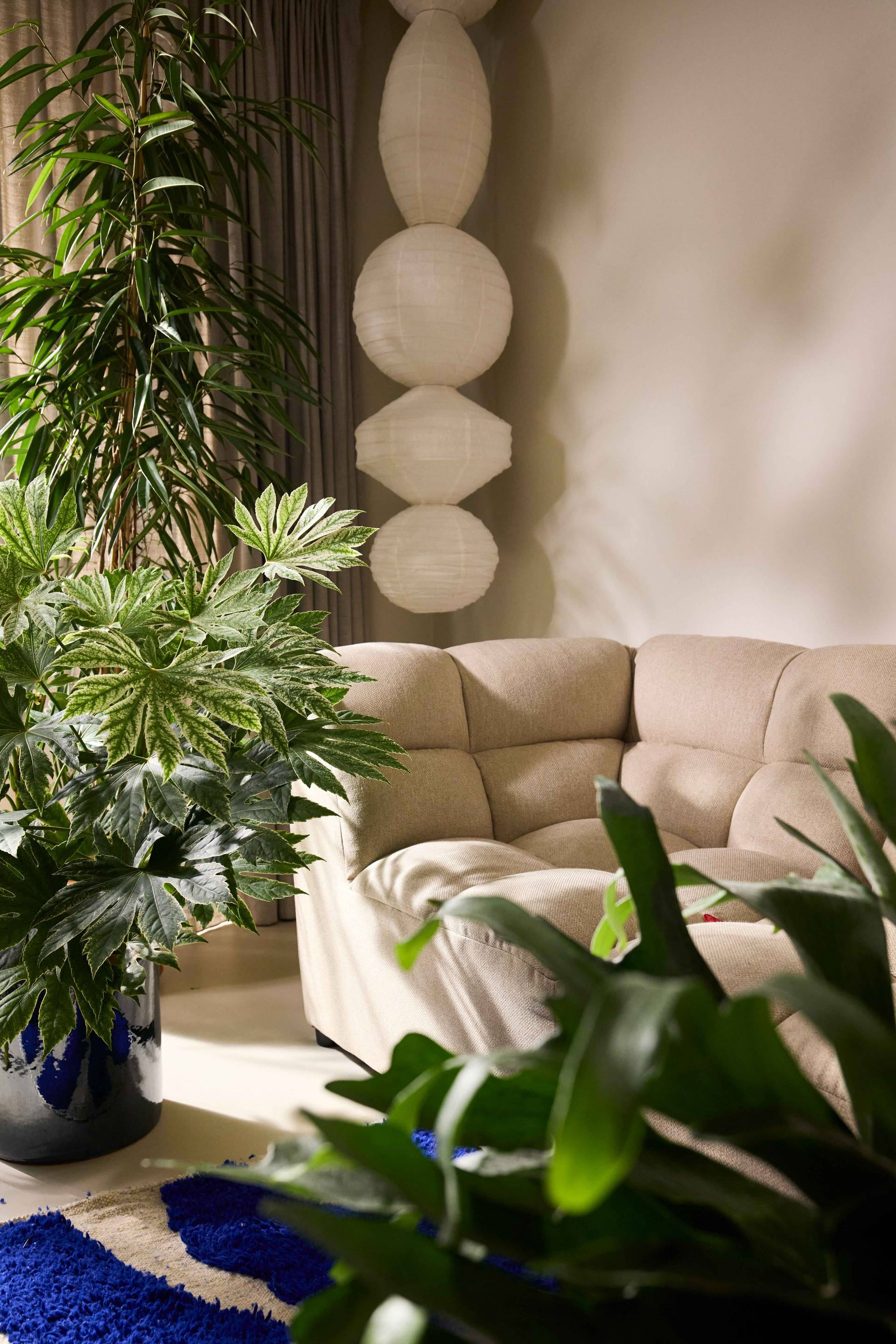 250103_Bloemenbureau_day-3_shot-01_051