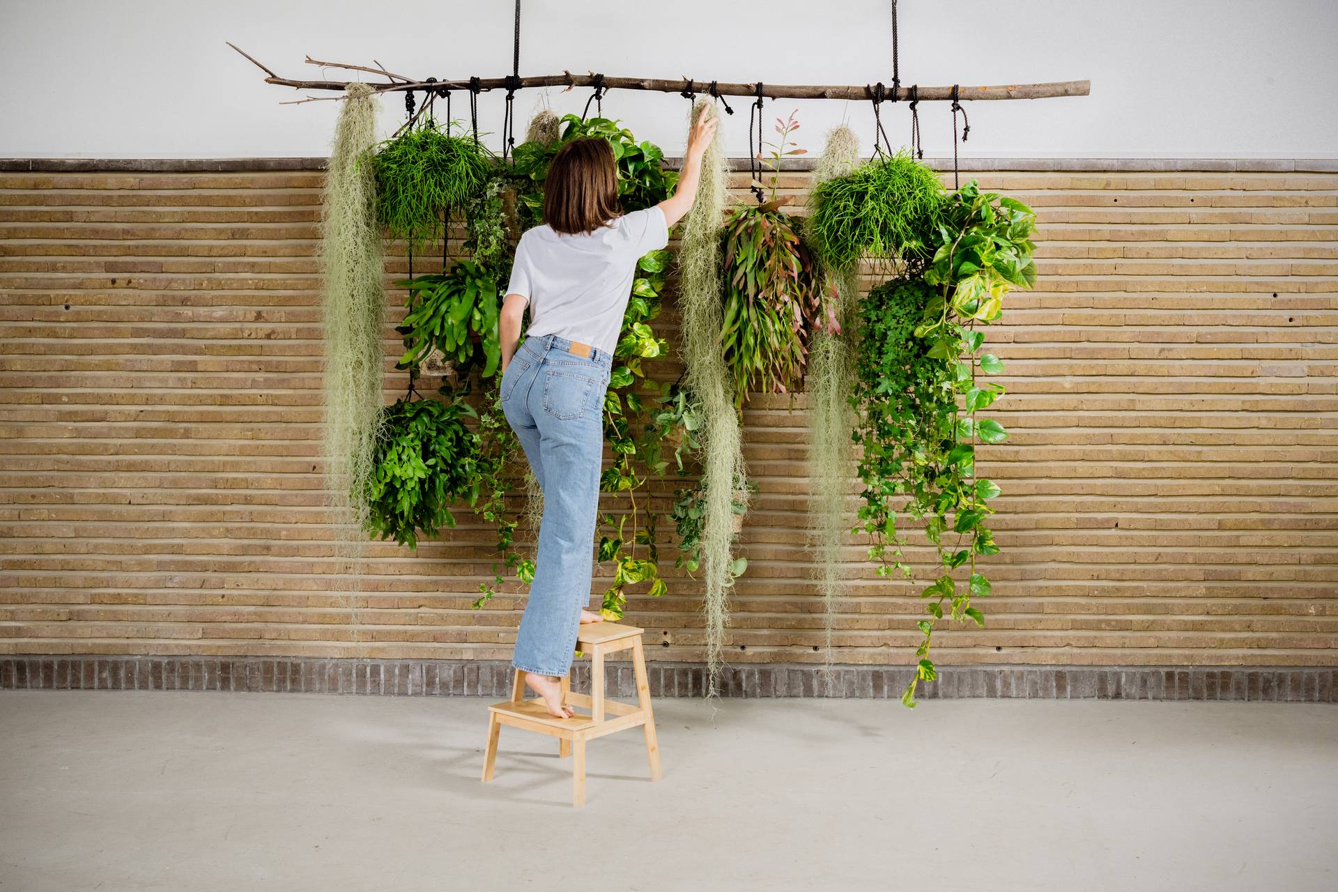 3__WHF_PLANTS_DIY_5794-bewerkt-3-2