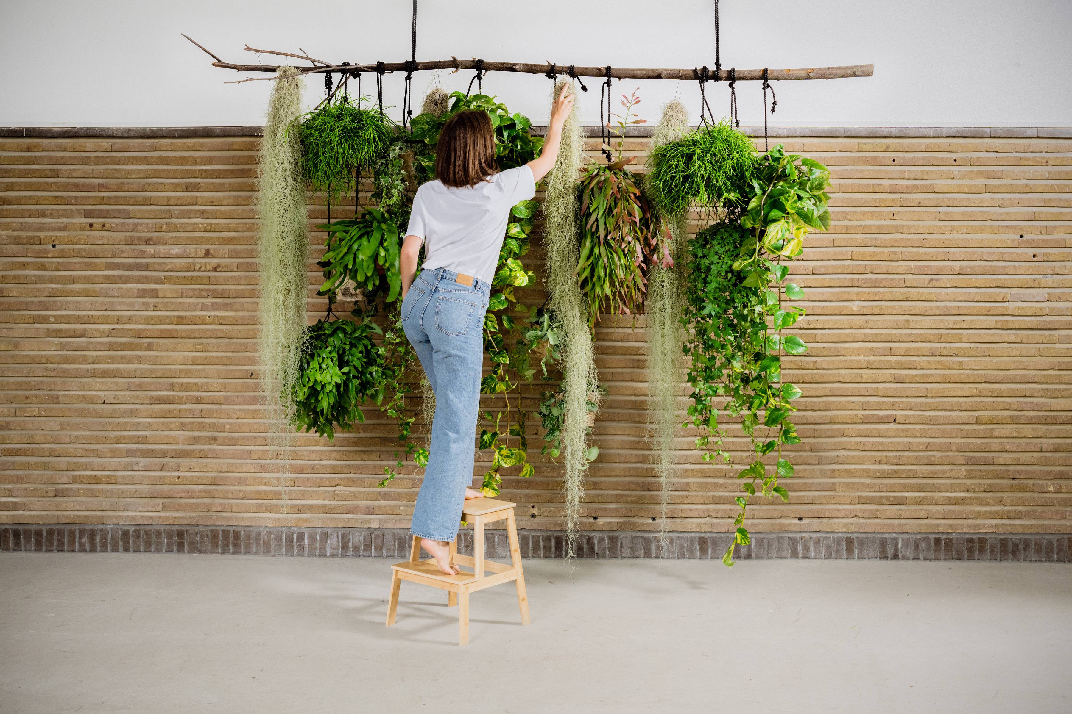 3__WHF_PLANTS_DIY_5794-bewerkt-3-2