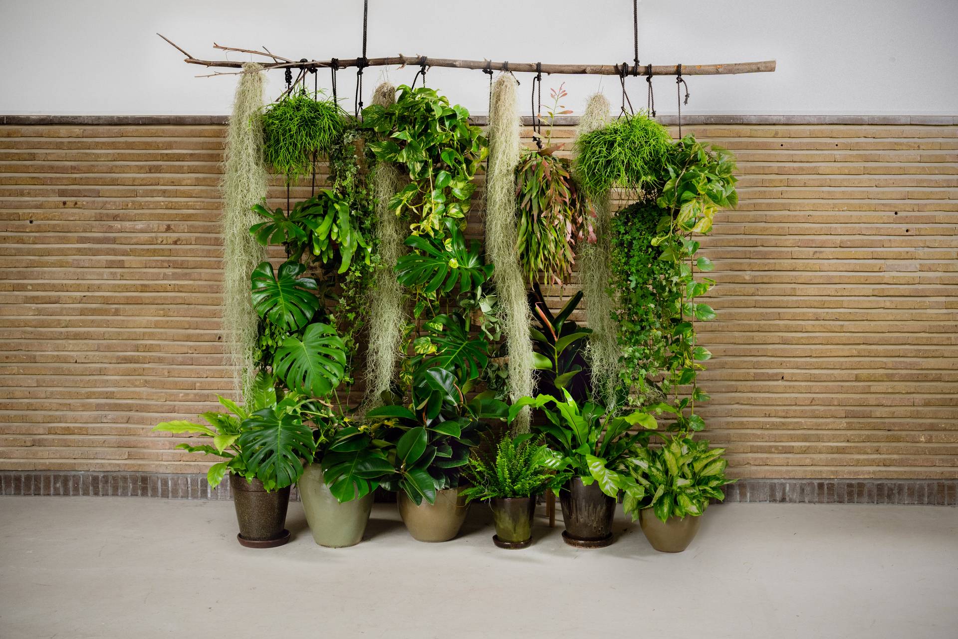 4__WHF_PLANTS_DIY_5794-bewerkt-3-4