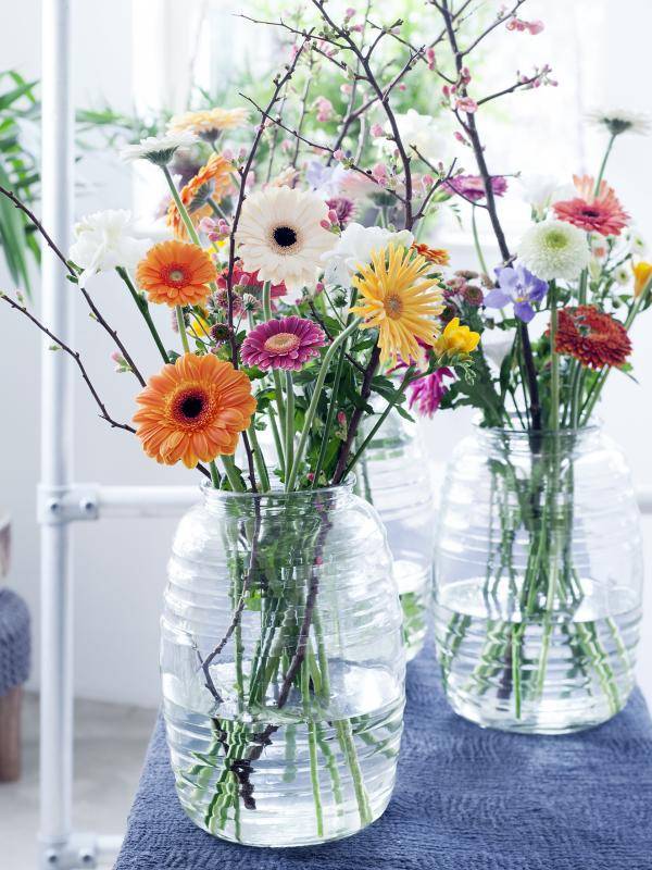 4_gerbera.width-1920