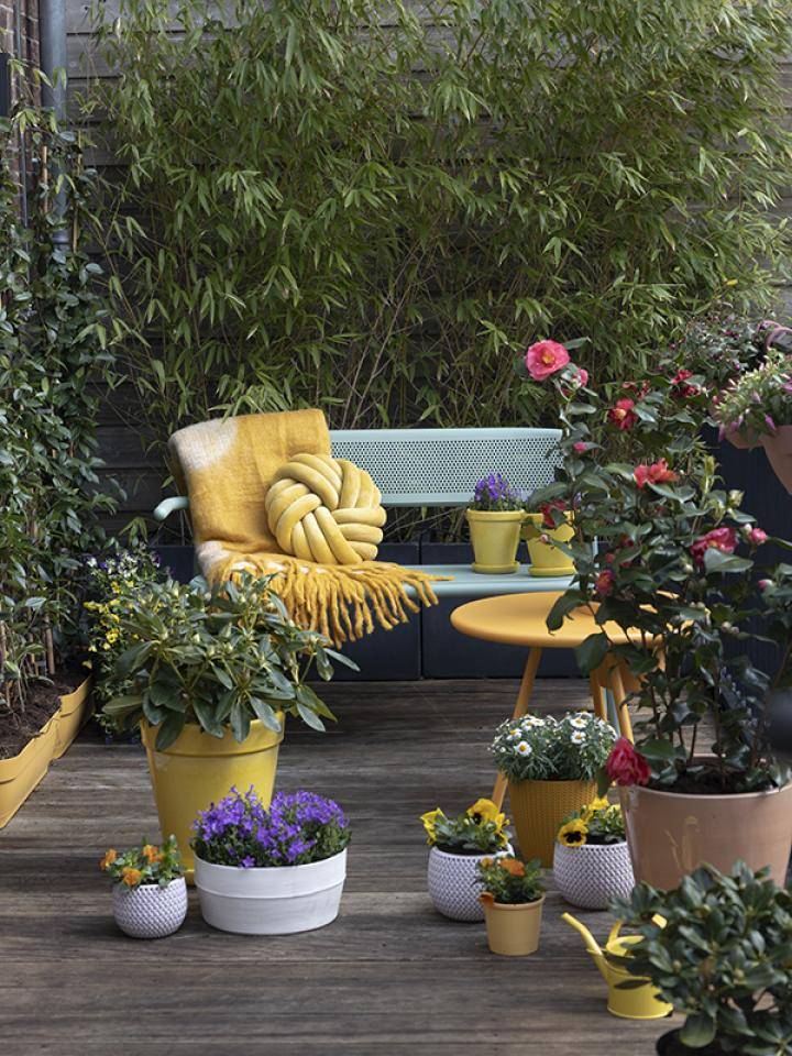 BALKON_setting2_1_800x600