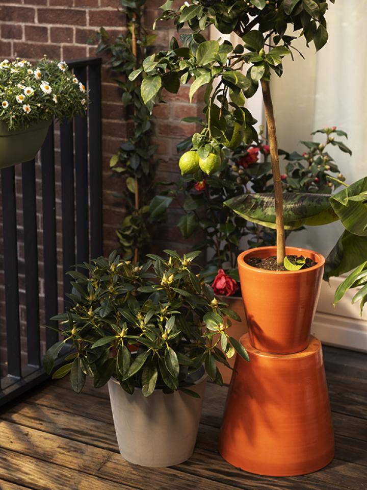 BALKON_setting4_9_800x600