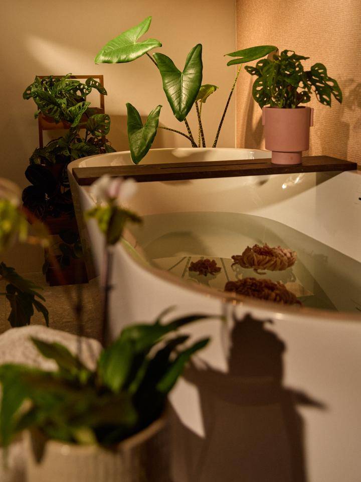 BBH20241021__L7A3357