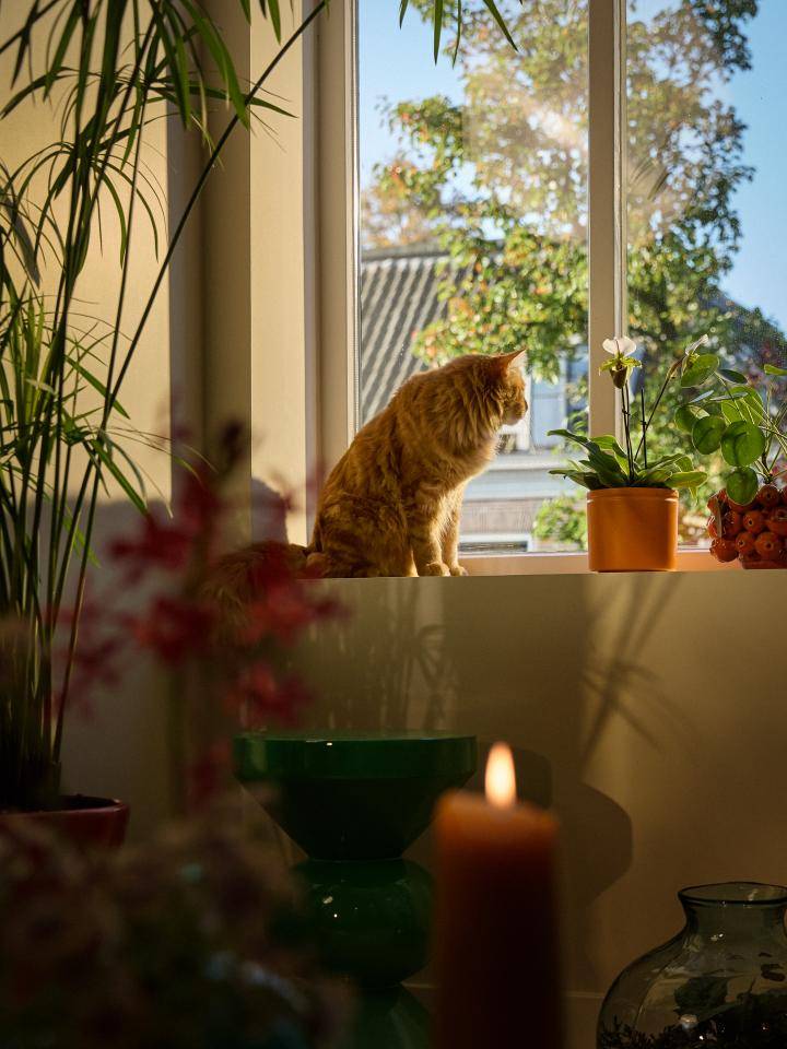 BBH20241021__L7A3421