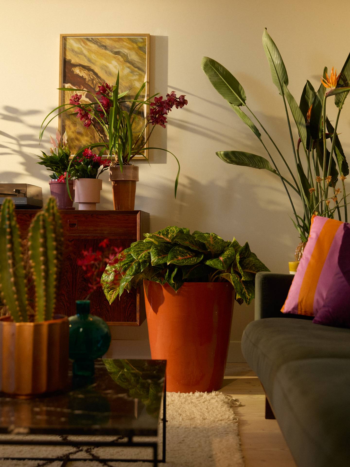 BBH20241021__L7A3622