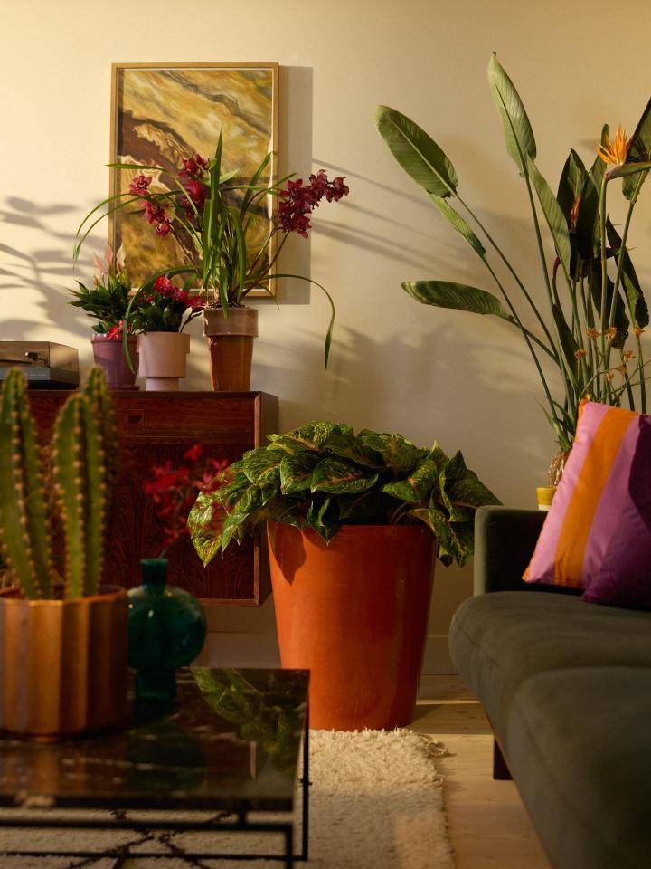 BBH20241021__L7A3622 (1)