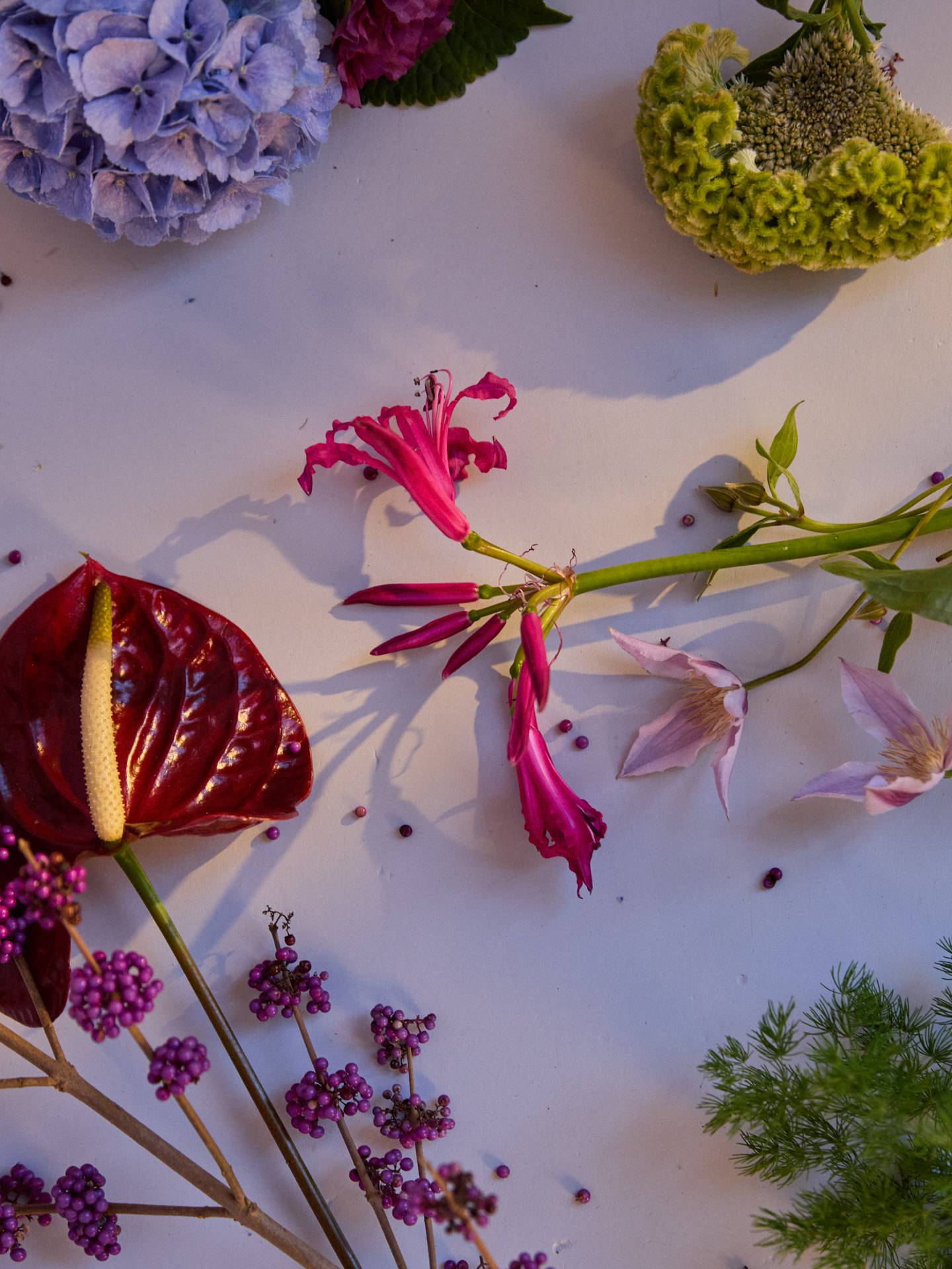 BBH20241021__L7A3849