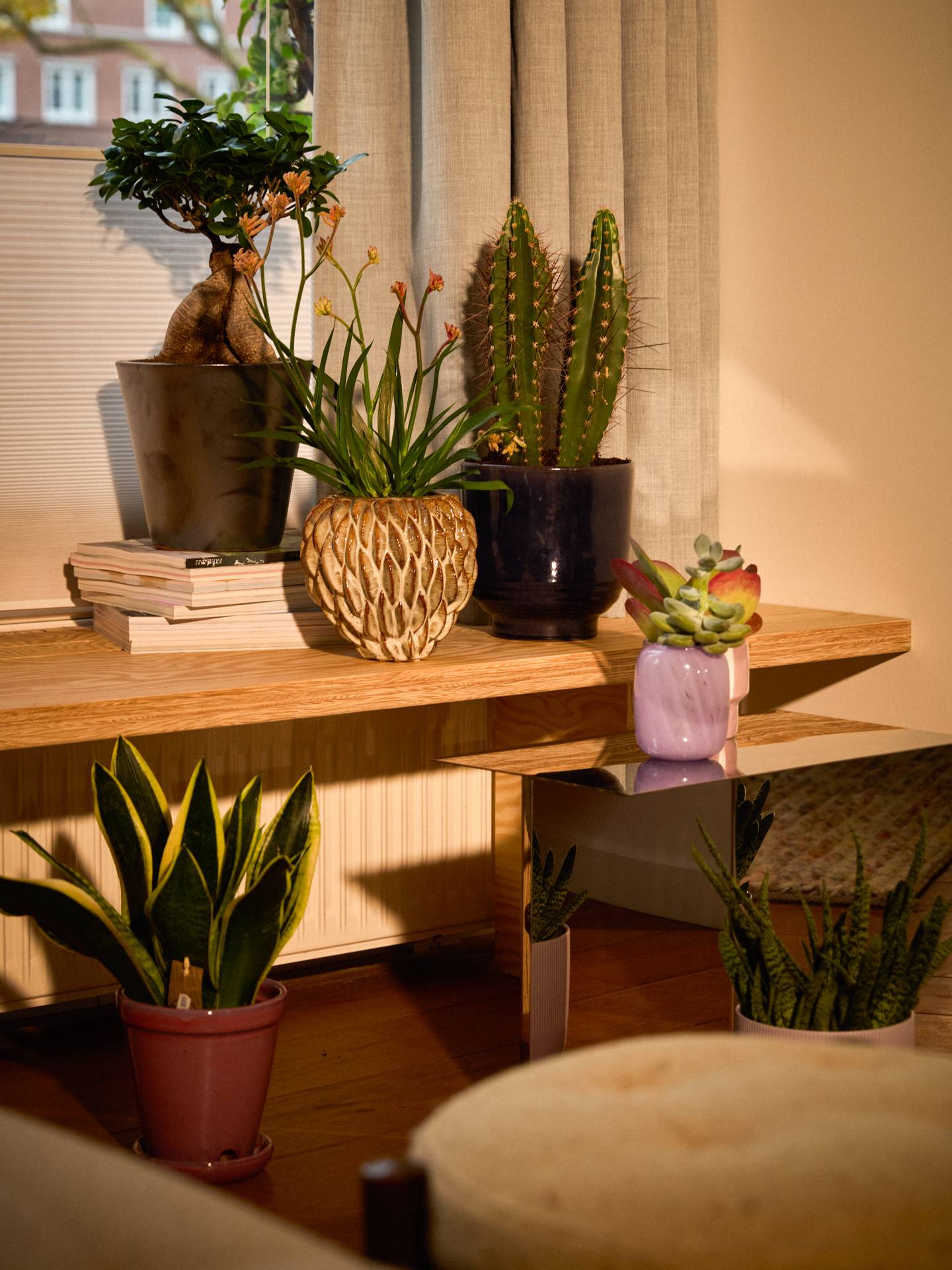 Woonkamer met kamerplanten: ontdek de verzorgingstips voor jouw planten