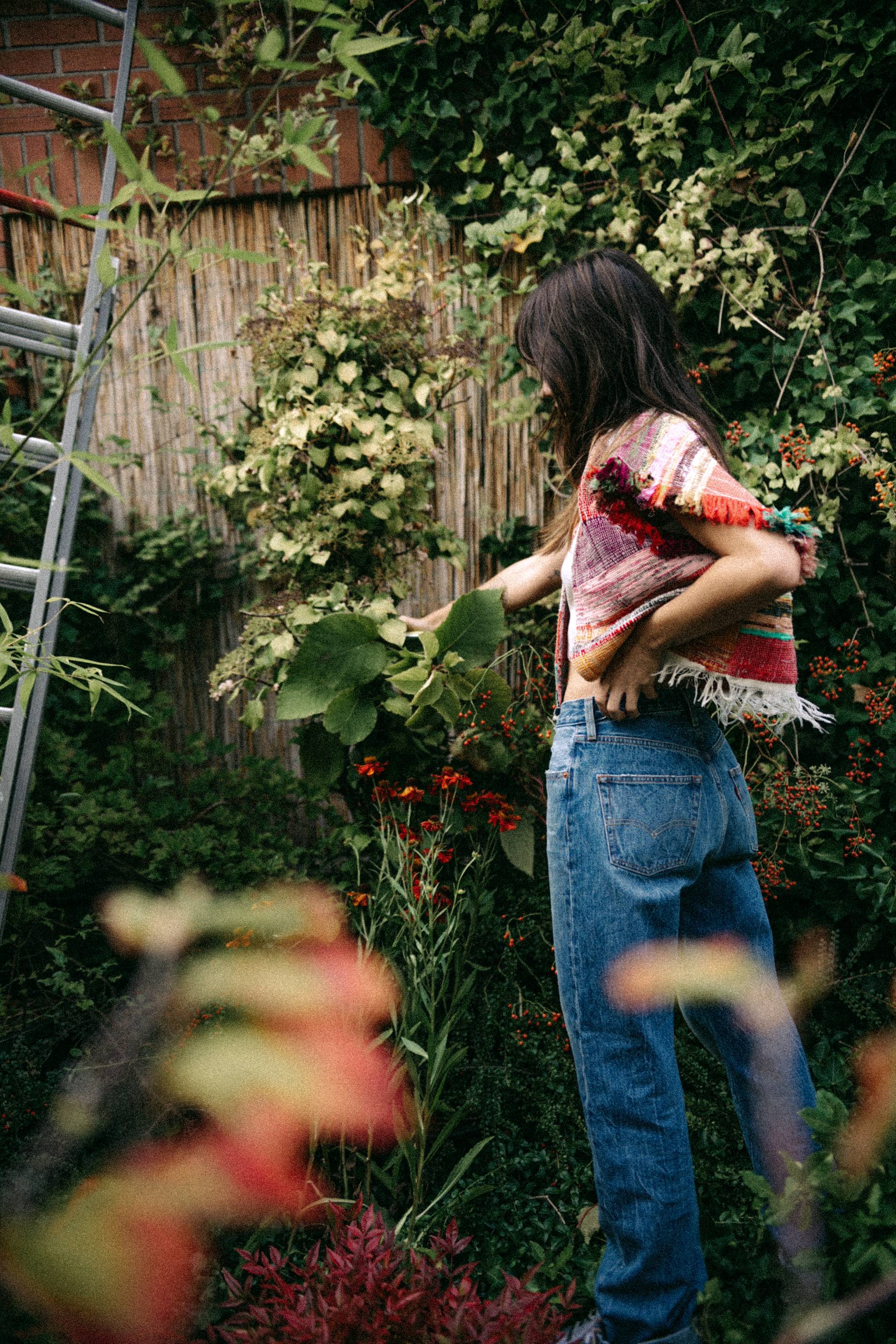 Kiwiplant op een klimmuur