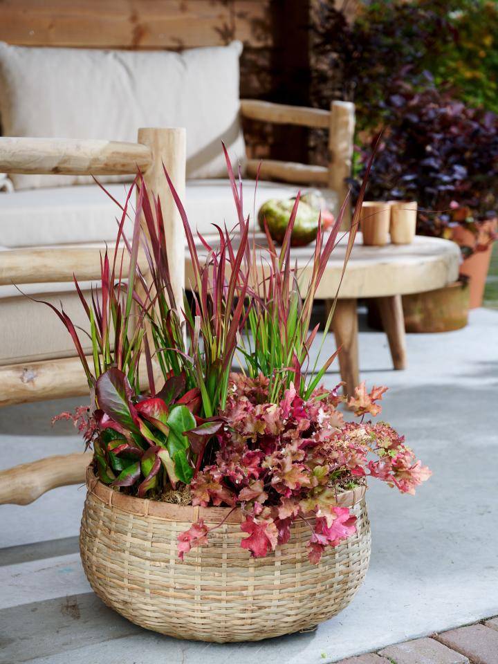 BBH_Outdoor_2022_Companion planting 2_MED (3)_2