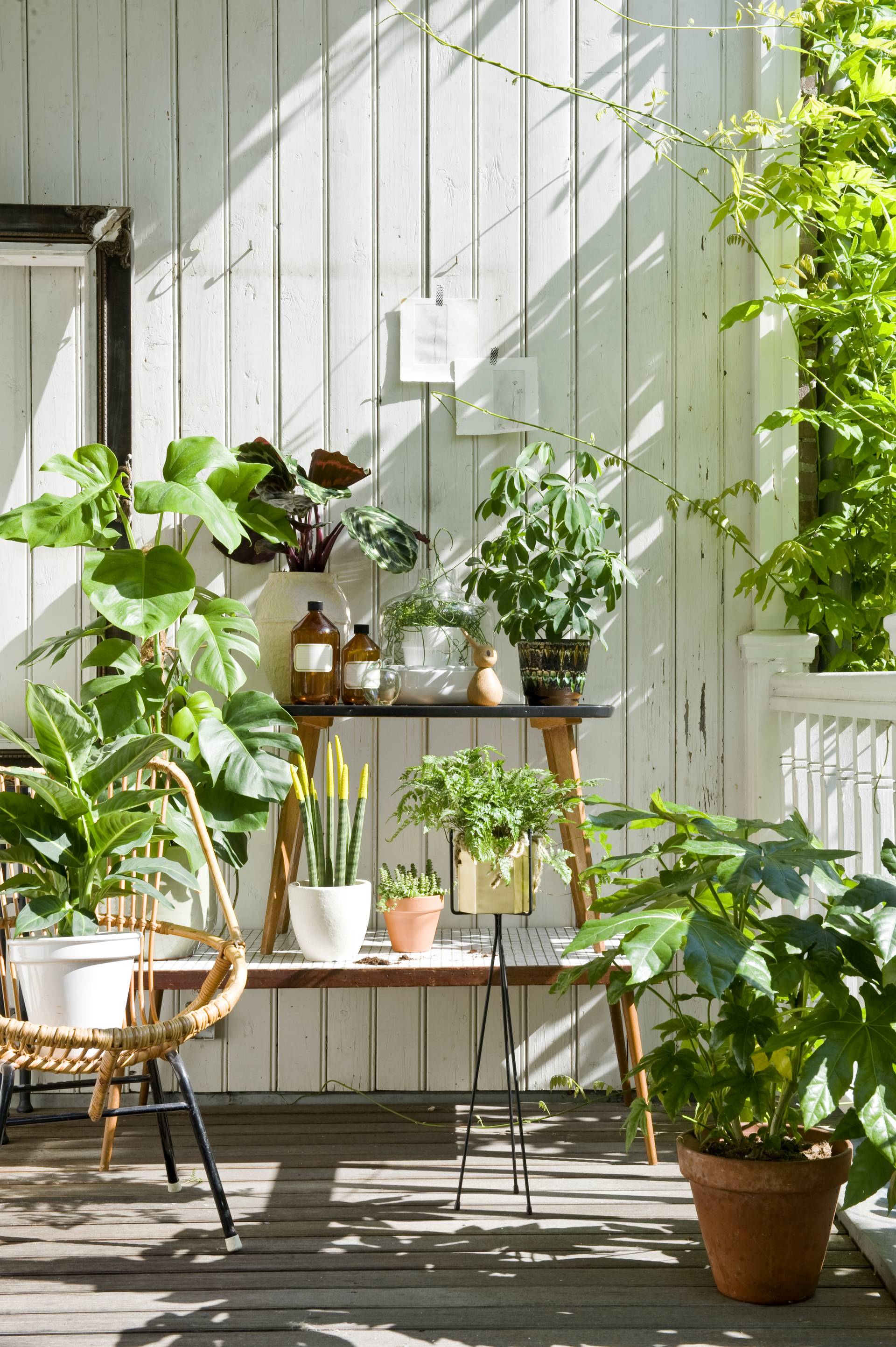 Bloemen bureau028