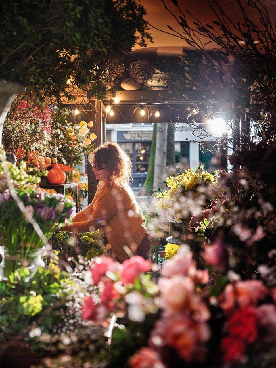 Bloemenode Cecile Oz Garden