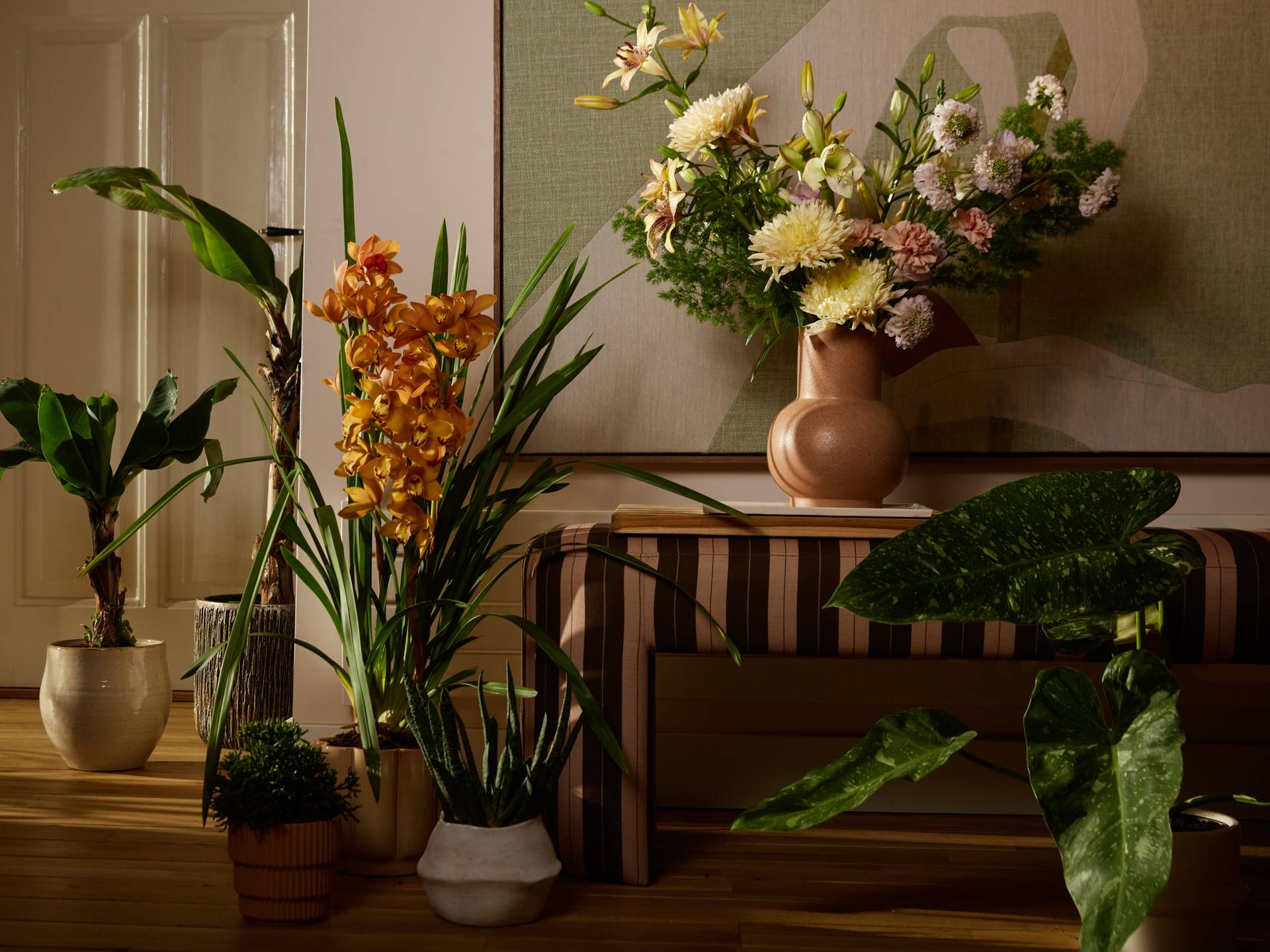 groepje van bloemen en planten