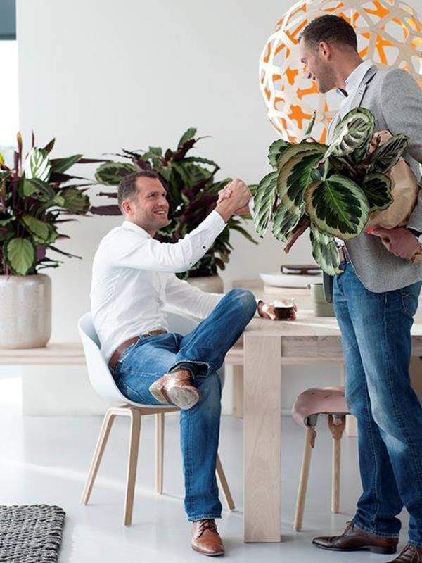 Calathea, woonplant boordevol symboliek - mooiwatplantendoen.nl - 67fddc1f-8435-446e-b5d7-086c94738bf1