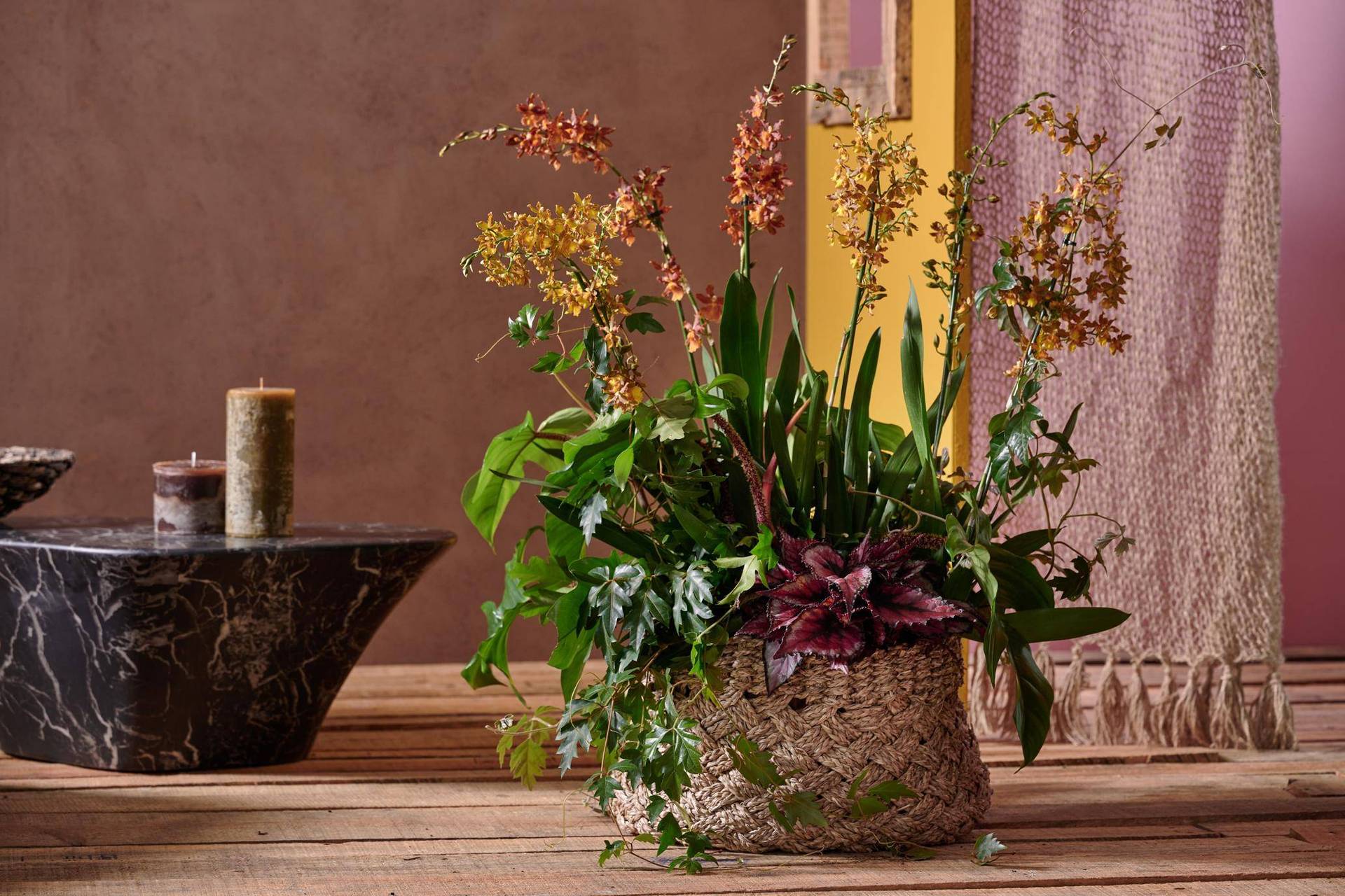 Philodendron - Plants & Flowers Foundation
