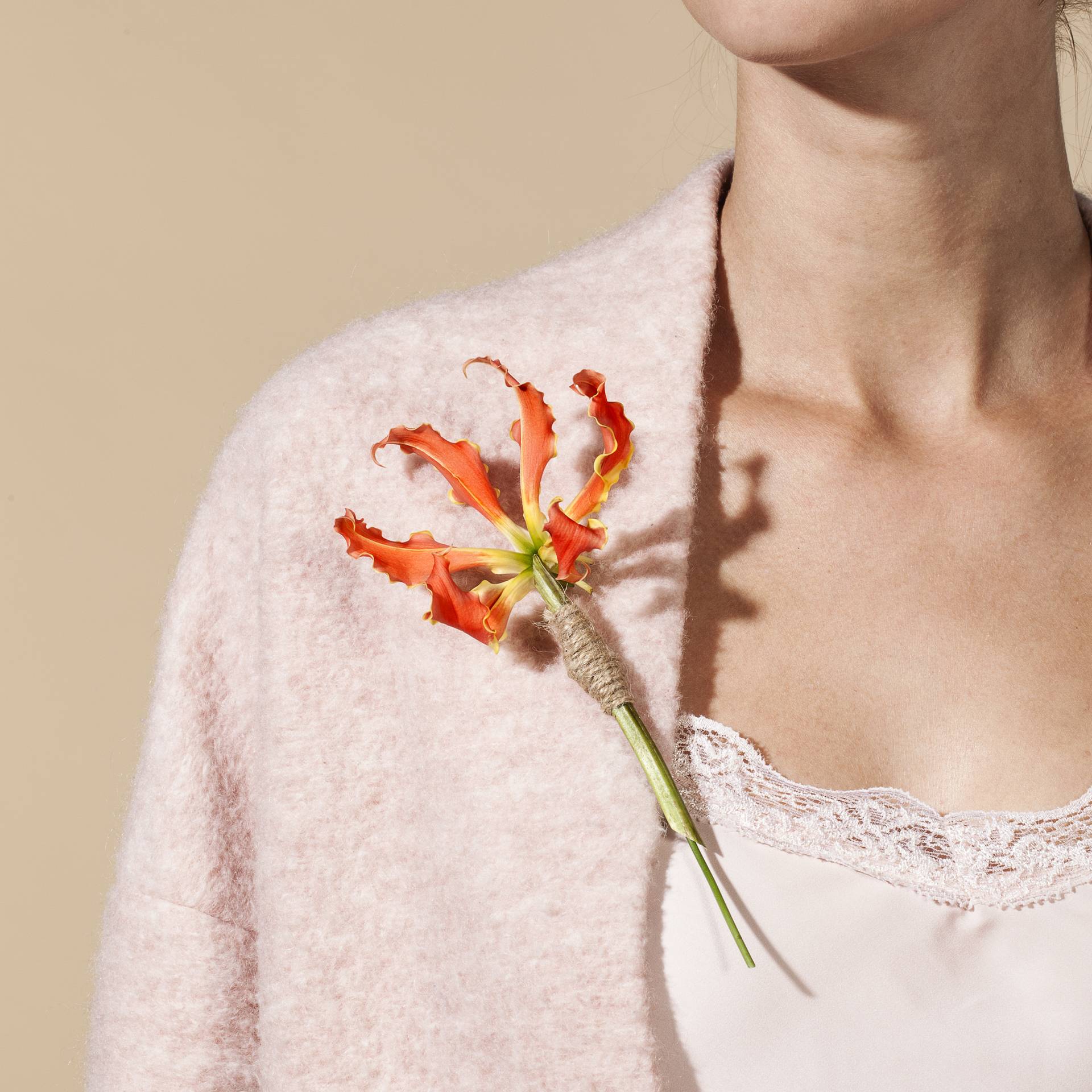 DIY: a fabulous flower corsage in a trice - Plants & Flowers