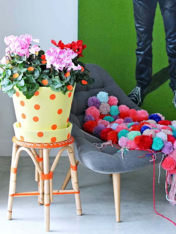 Cyclaam Mooiwatplantendoen.nl - 13611c86-4939-4ded-8402-750573a67625