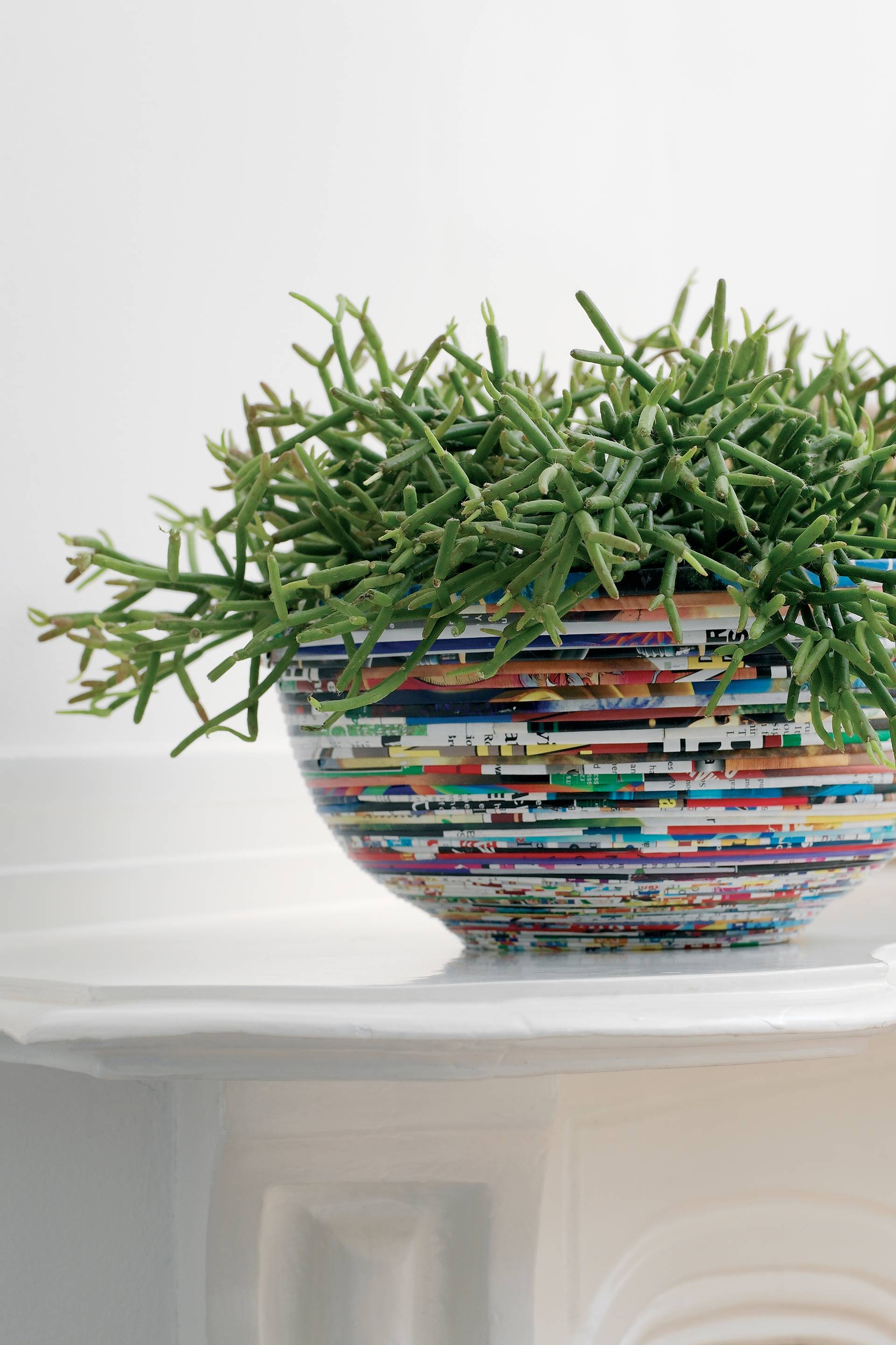 De Rhipsalis Casutha doet het goed op elk feestje! - ce1307bd-a04e-4b2e-a395-59d5cae11eb6